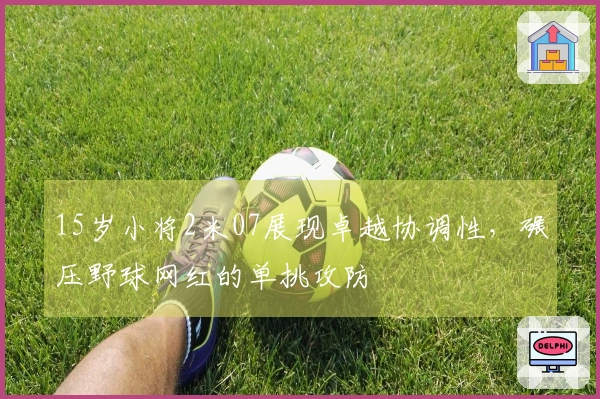 15岁小将2米07展现卓越协调性，碾压野球网红的单挑攻防