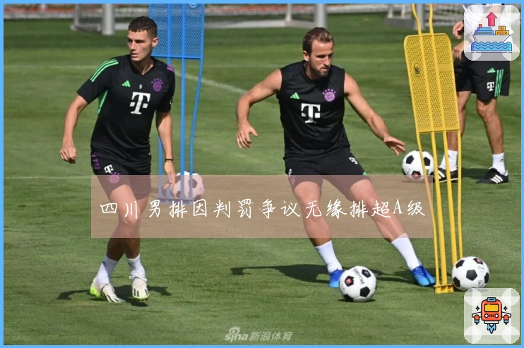 四川男排因判罚争议无缘排超A级